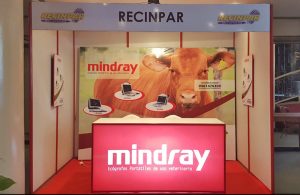 Stands para Expos y ferias