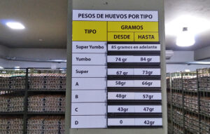 señaleticas empresa corporativa paraguay